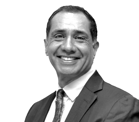 Constructive CEO - Hani Emam